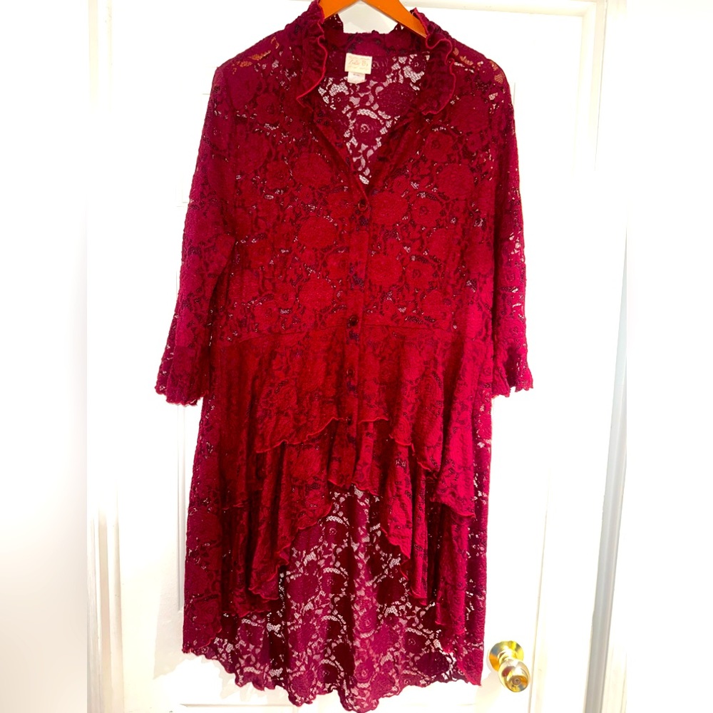 Zadie Bs lace top